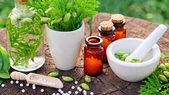 Initiation à l&rsquo;homéopathie vétérinaire en élevage