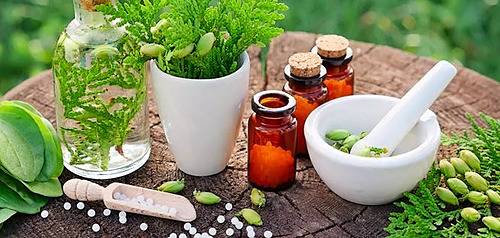 Perfectionnement à l&rsquo;homéopathie en élevage_CA12